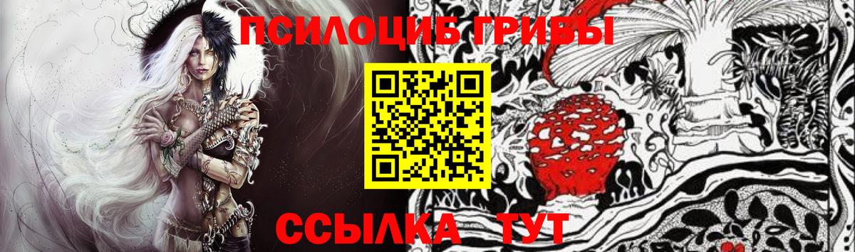 как найти   Галлюциногенные грибы прущие грибы  Вход с VPN  Архангельск 