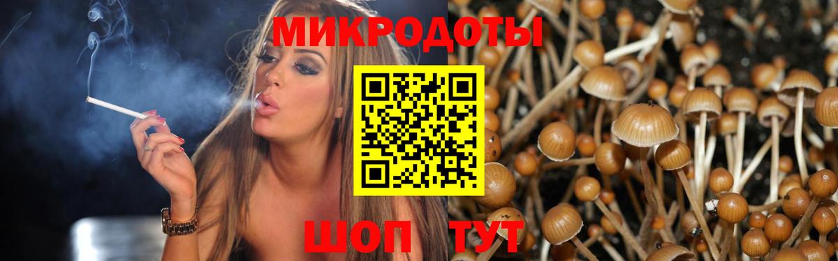 Псилоцибиновые грибы мицелий Архангельск